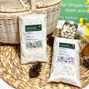 Tempe Canavalia