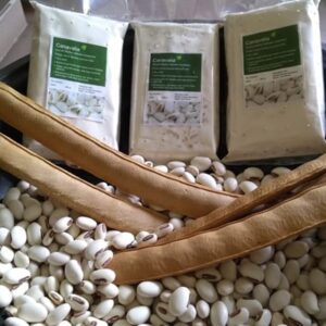 Tempe Canavalia